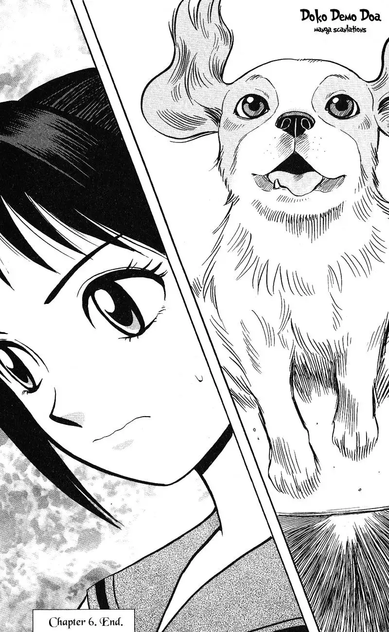 Animal Sense Chapter 6 39